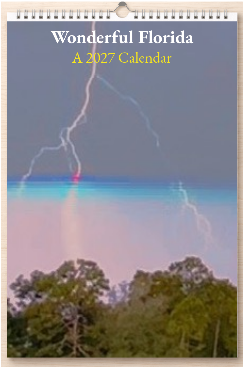 Wonderful Florida: A 2027 Calendar