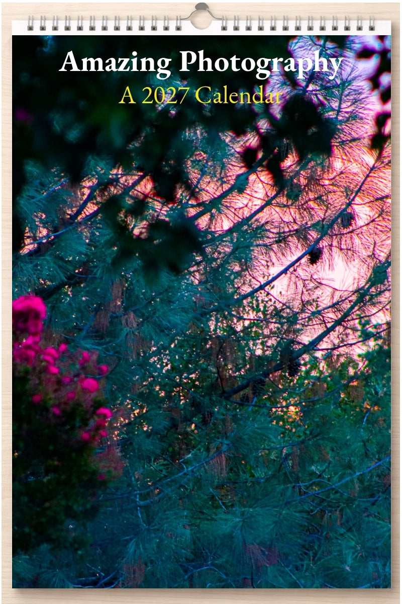 Amazing Photography: A 2027 Calendar