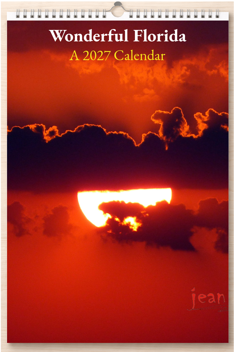 Wonderful Florida: A 2027 Calendar