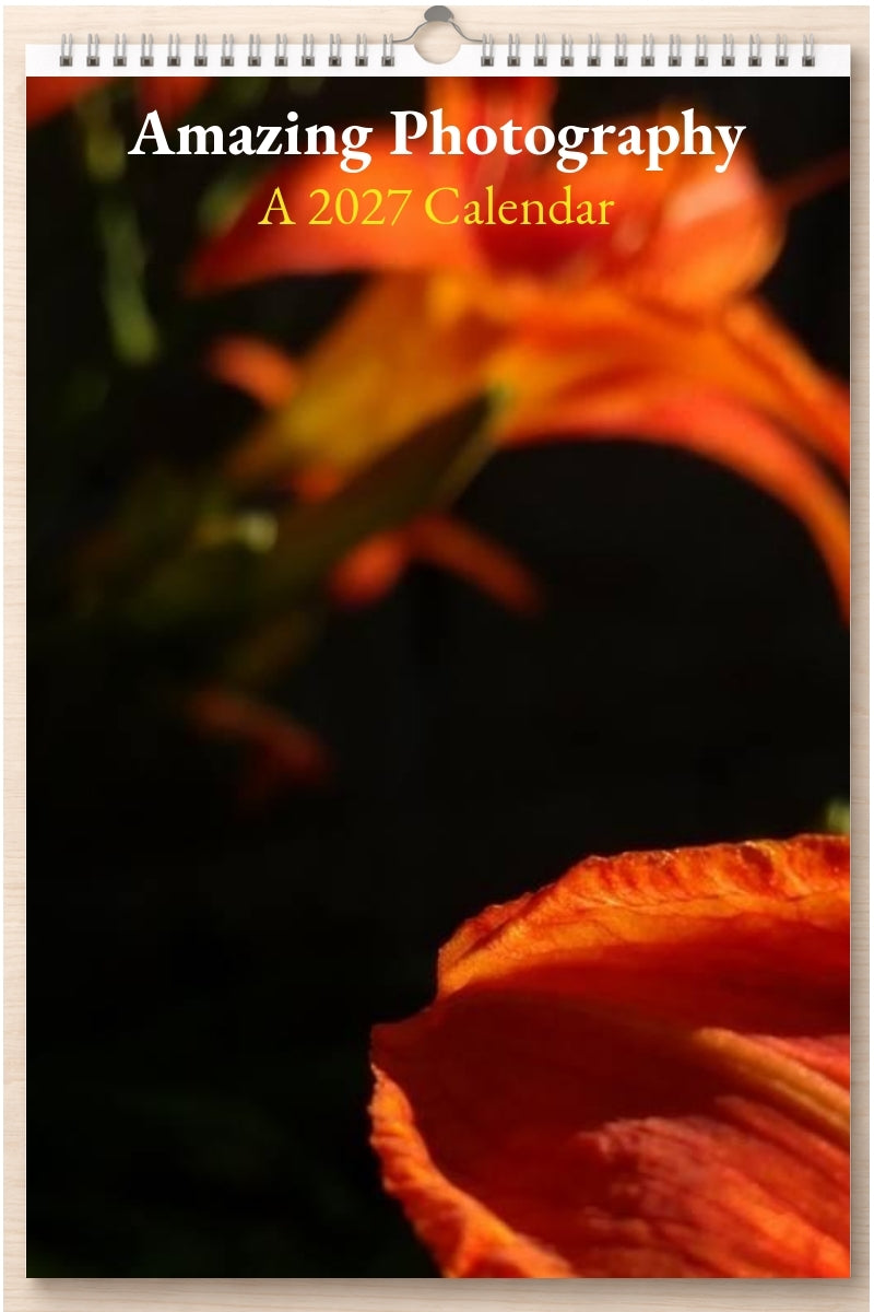 Amazing Photography: A 2027 Calendar