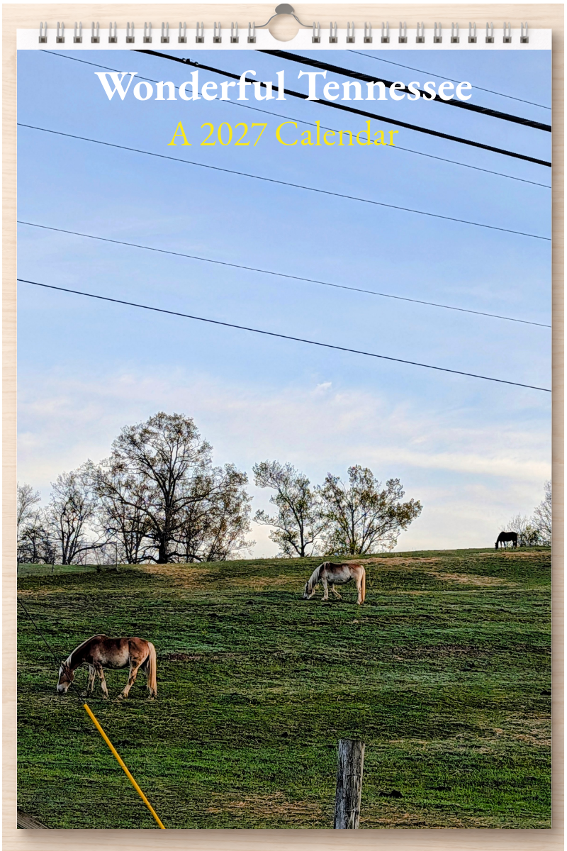 Wonderful Tennessee: A 2027 Calendar