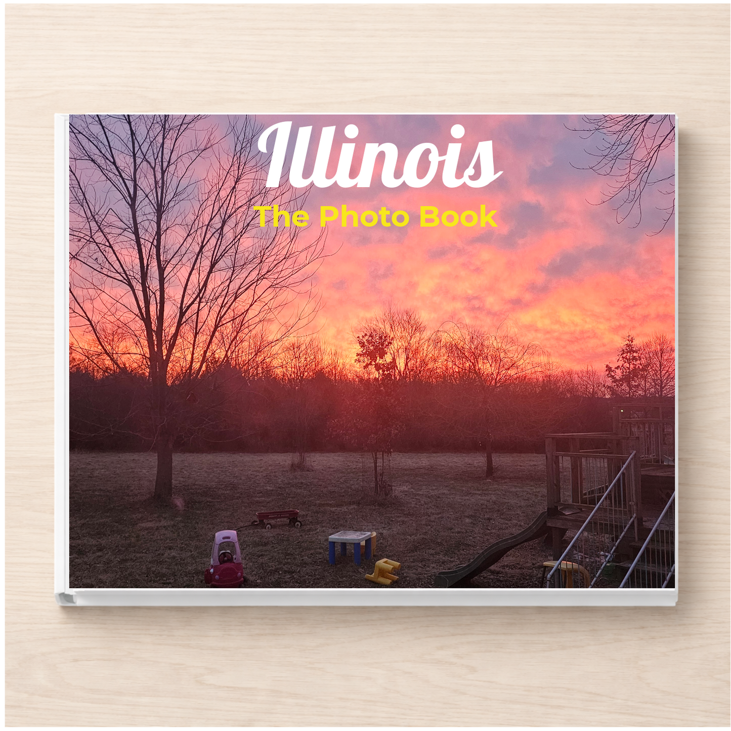 Illinois: The Photo Book