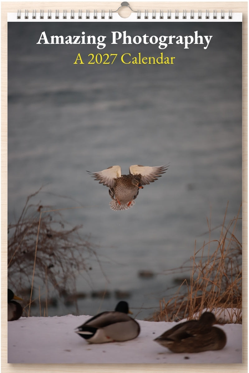 Amazing Photography: A 2027 Calendar