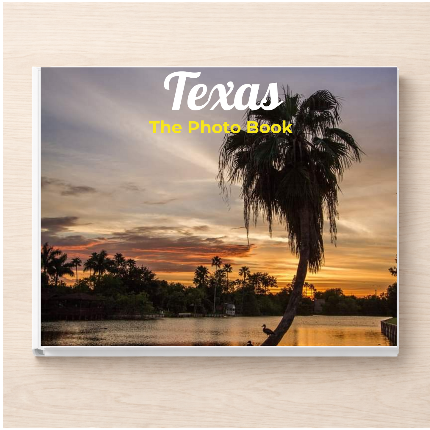 Texas: The Photo Book