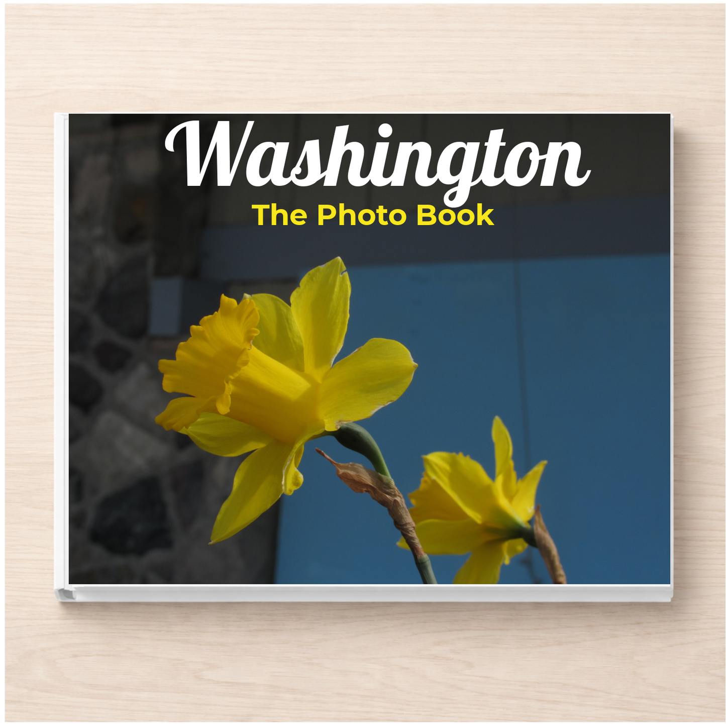 Washington: The Photo Book