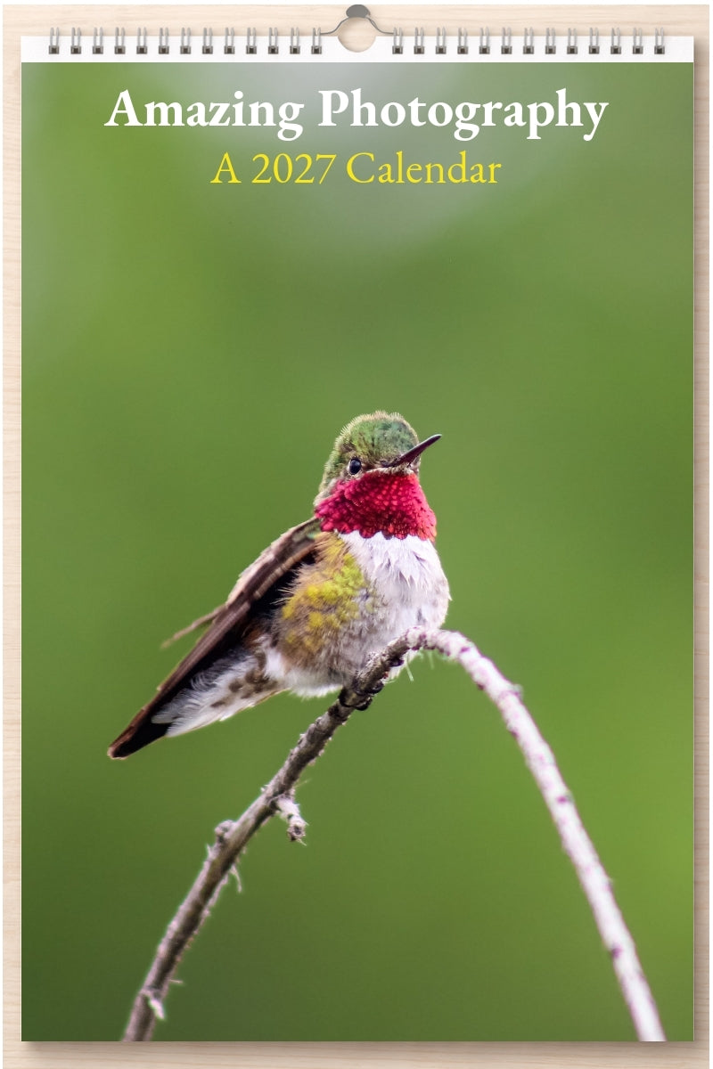Amazing Photography: A 2027 Calendar