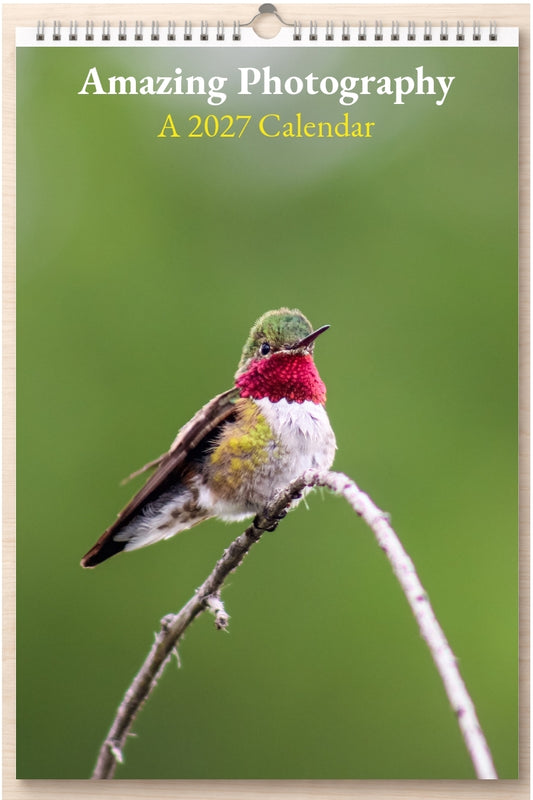 Amazing Photography: A 2027 Calendar
