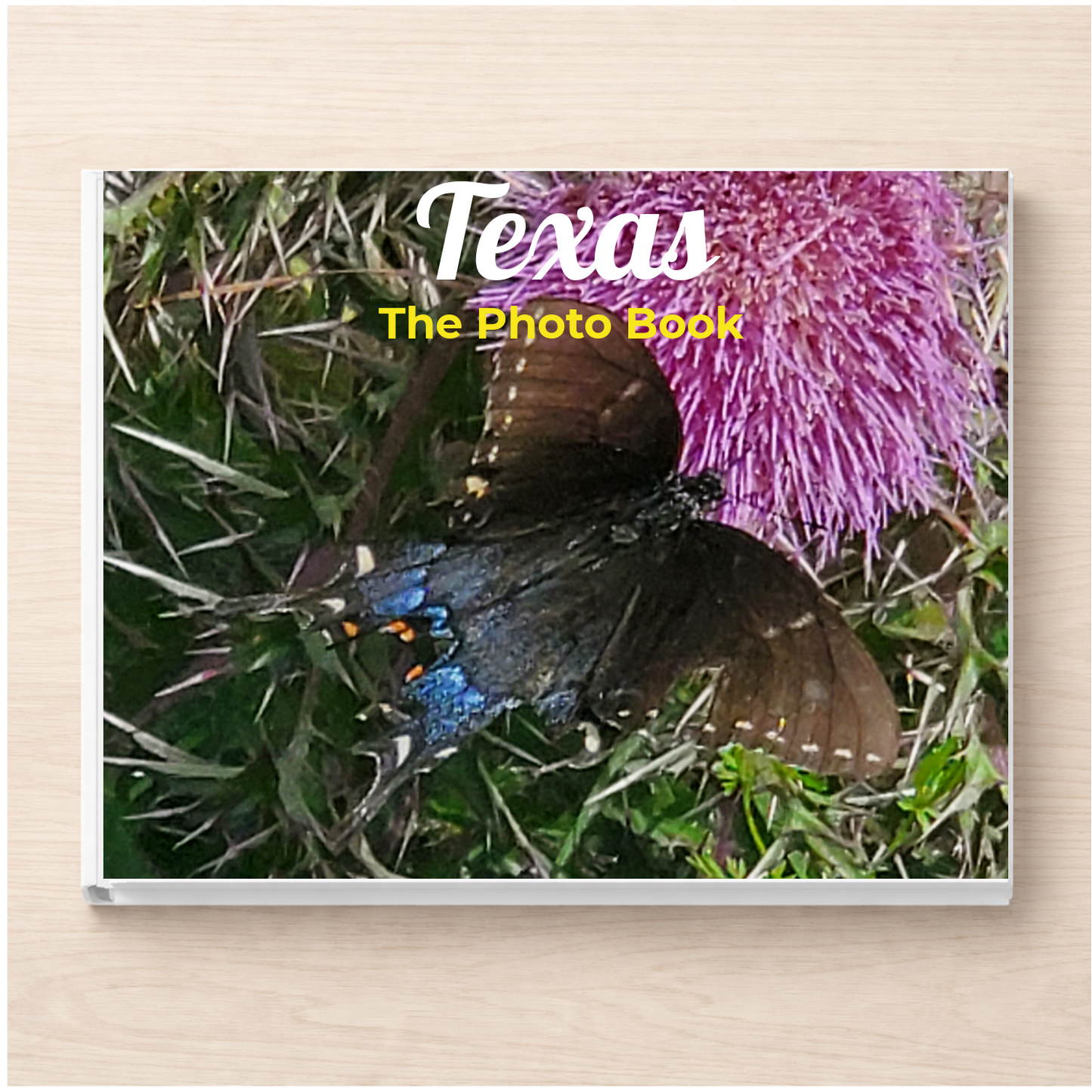 Texas: The Photo Book