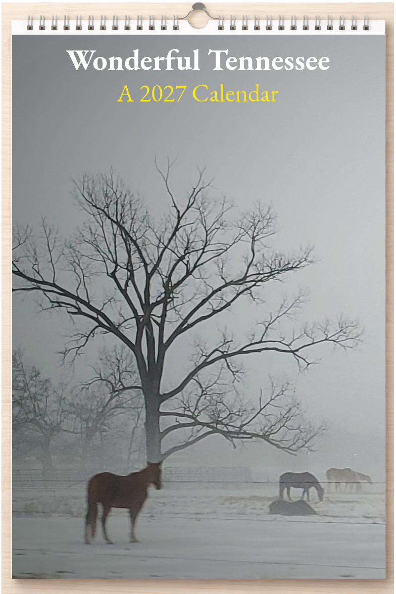 Wonderful Tennessee: A 2027 Calendar