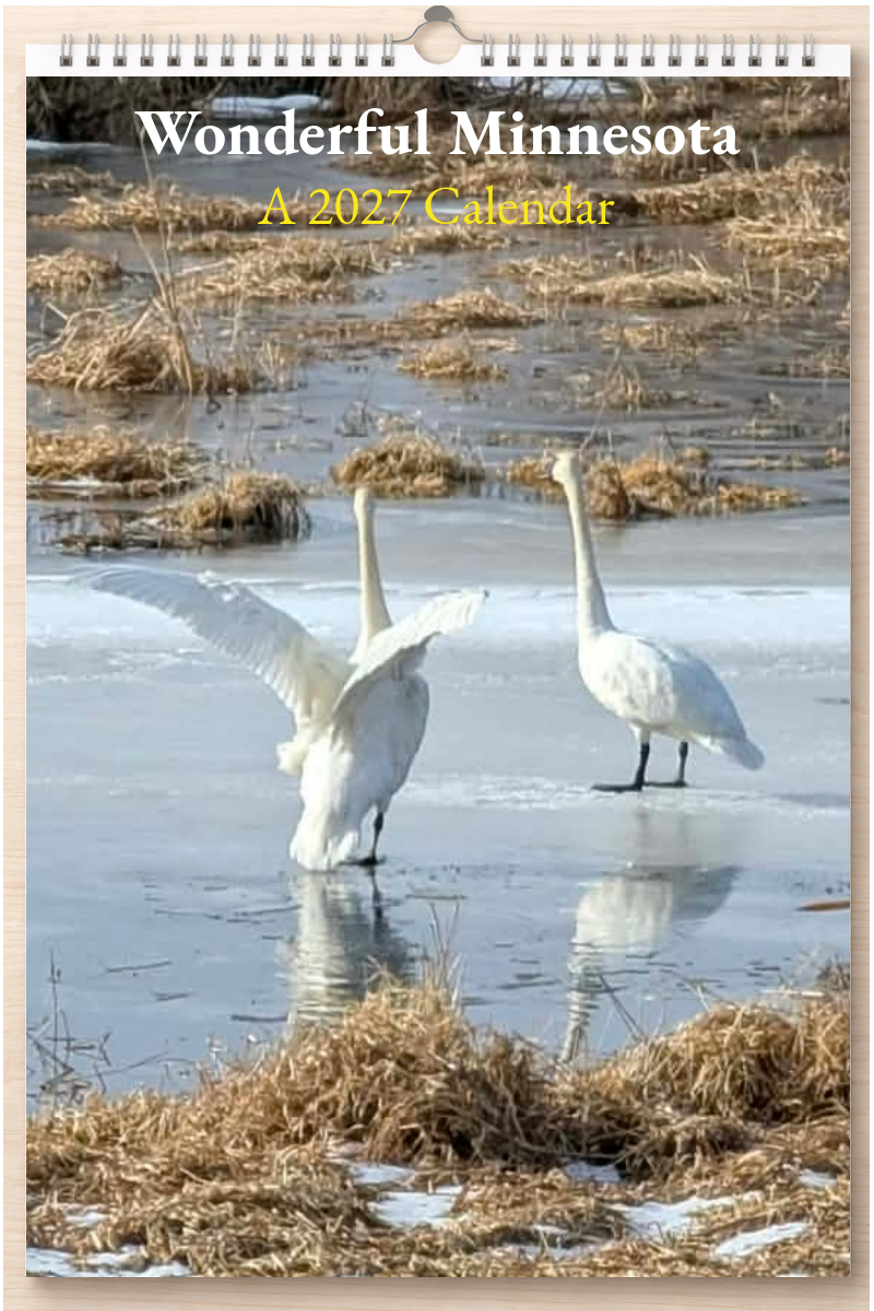 Wonderful Minnesota: A 2027 Calendar