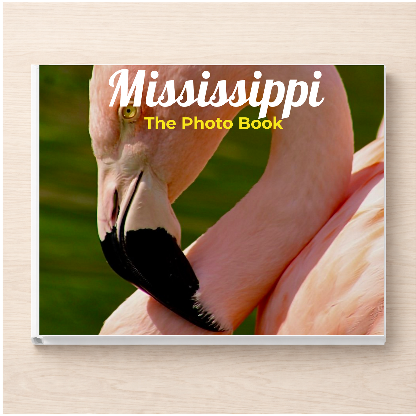 Mississippi: The Photo Book