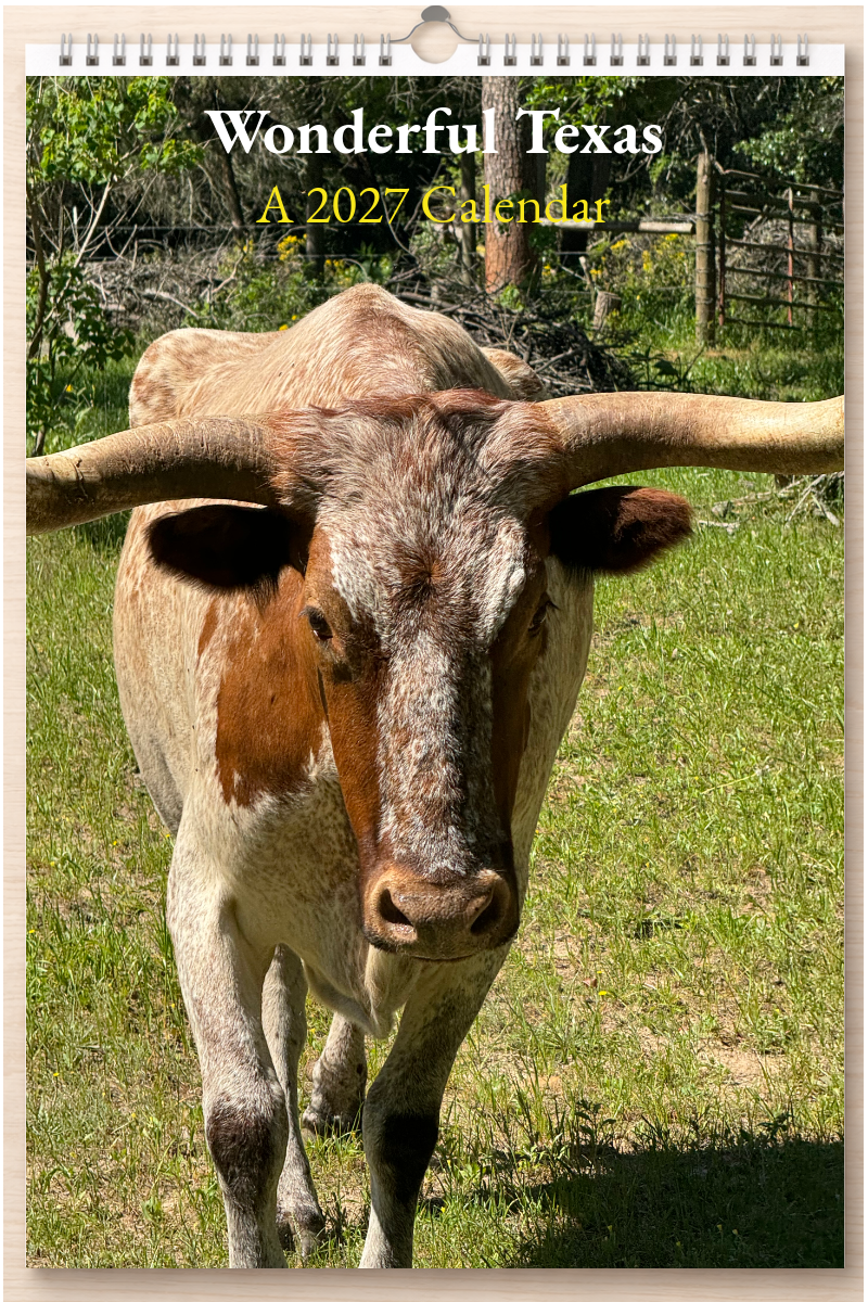 Wonderful Texas: A 2027 Calendar