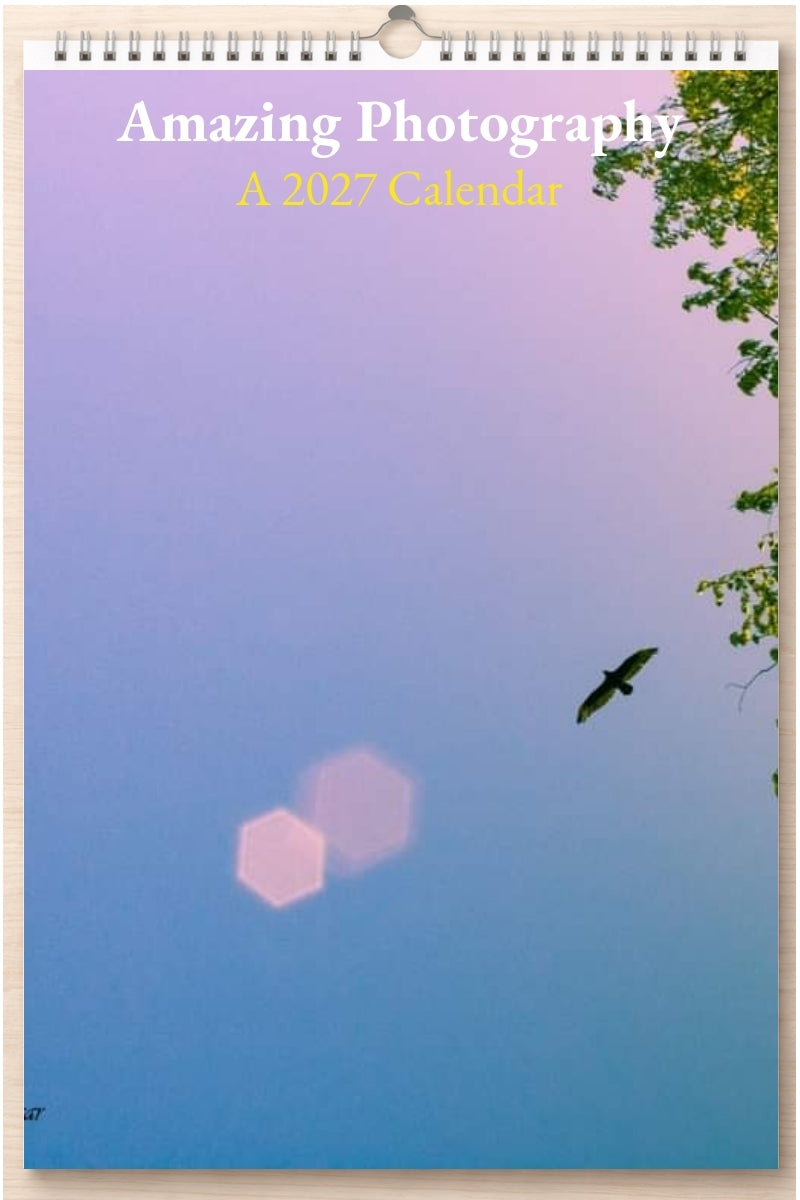Amazing Photography: A 2027 Calendar