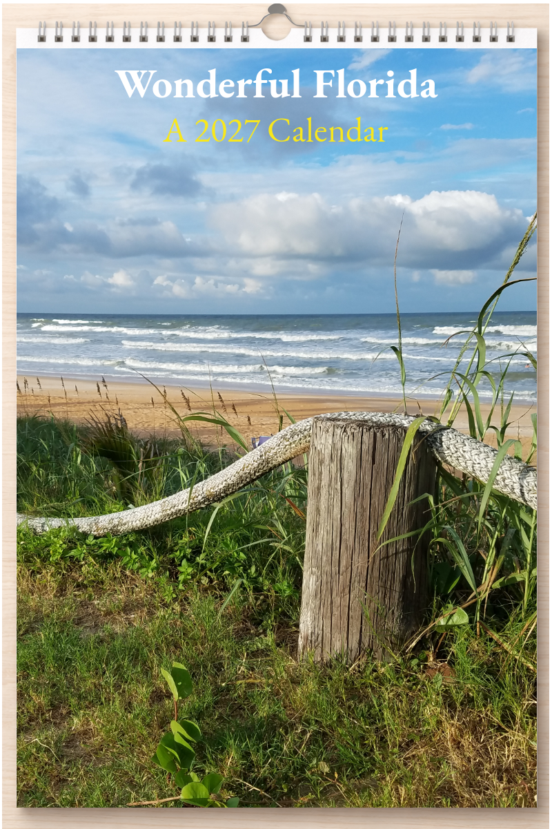 Wonderful Florida: A 2027 Calendar