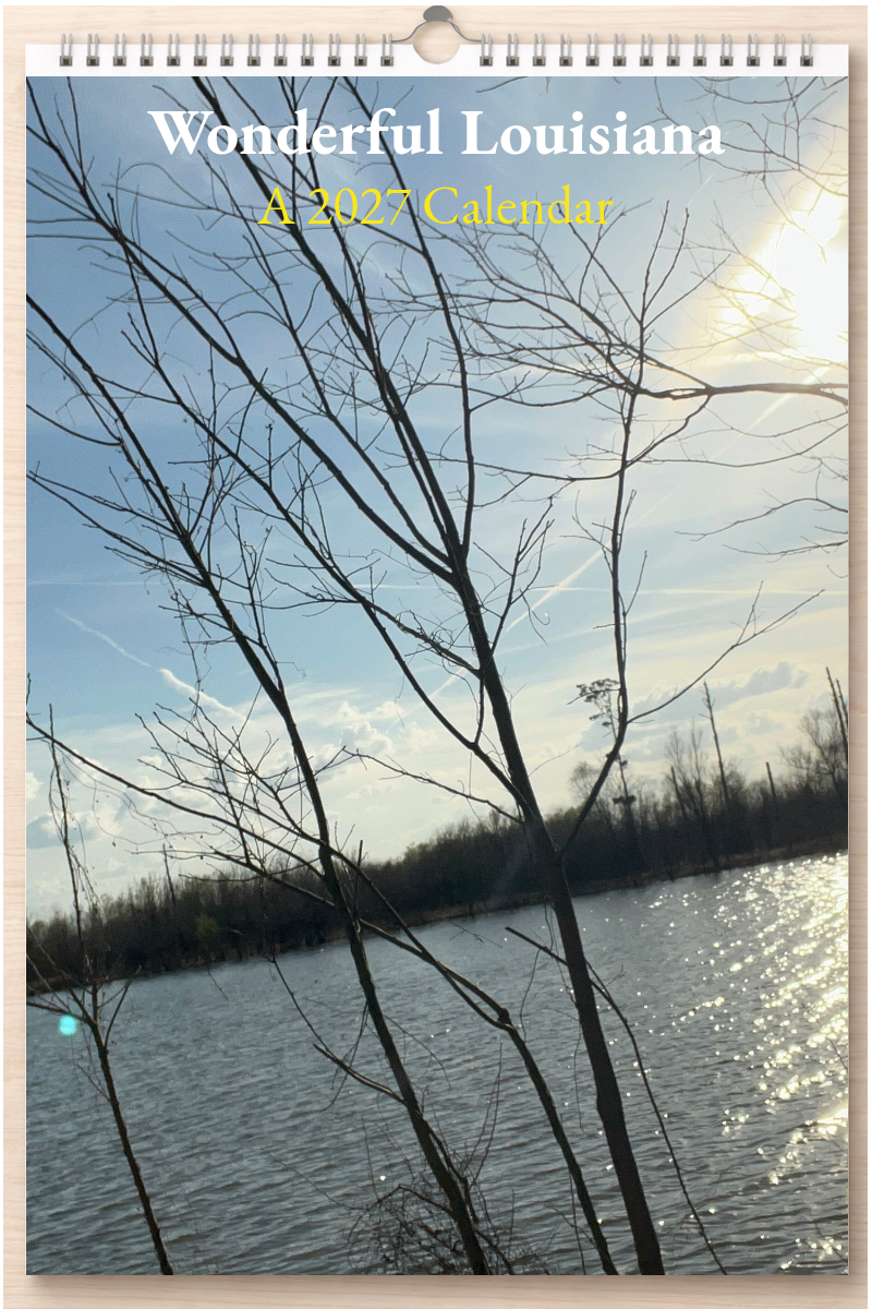 Wonderful Louisiana: A 2027 Calendar