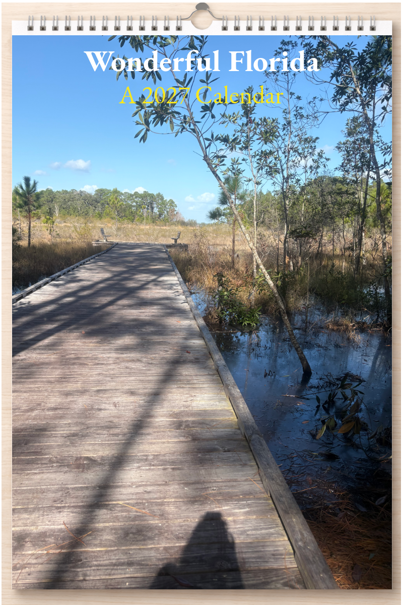 Wonderful Florida: A 2027 Calendar
