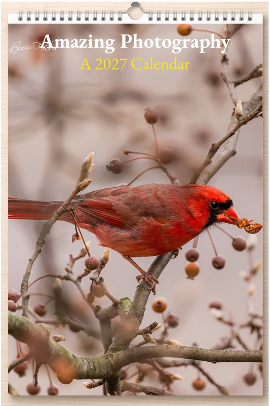 Amazing Photography: A 2027 Calendar
