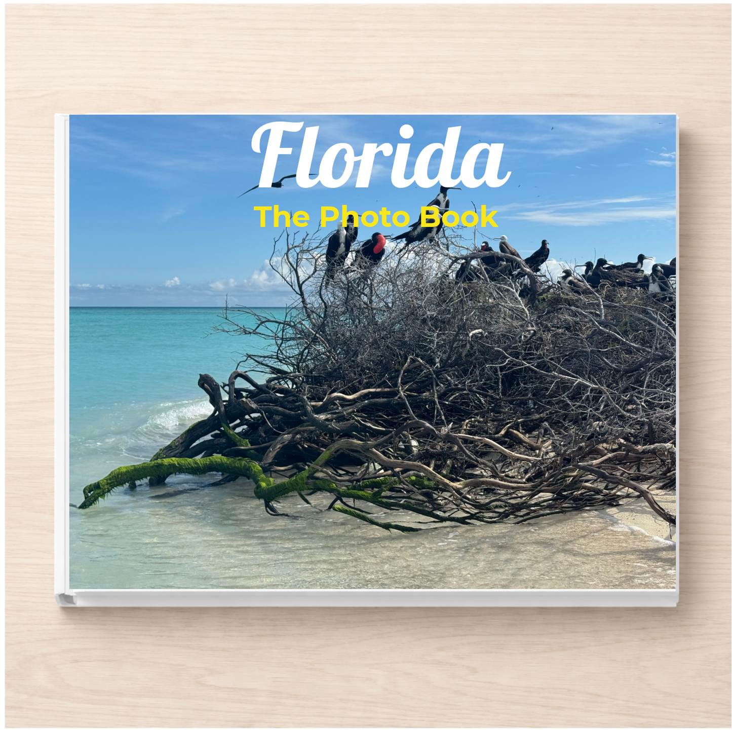 Florida: The Photo Book
