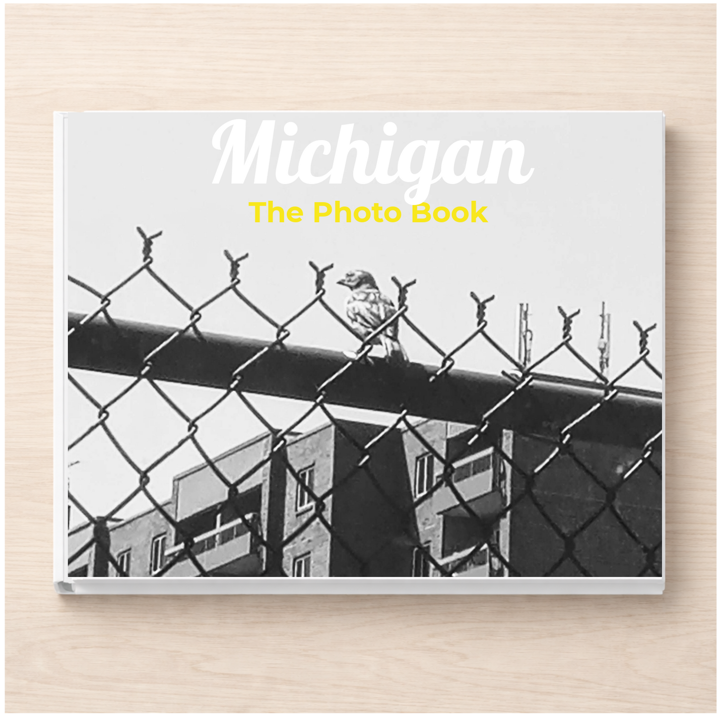 Michigan: The Photo Book