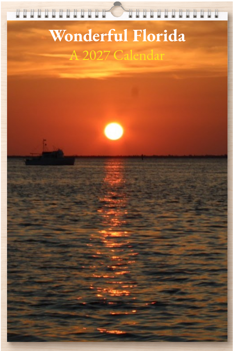Wonderful Florida: A 2027 Calendar