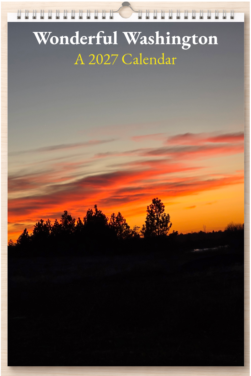Wonderful Washington: A 2027 Calendar