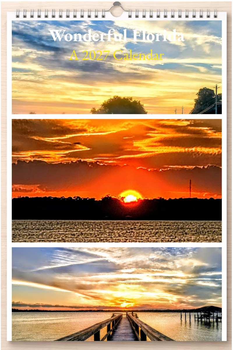 Wonderful Florida: A 2027 Calendar