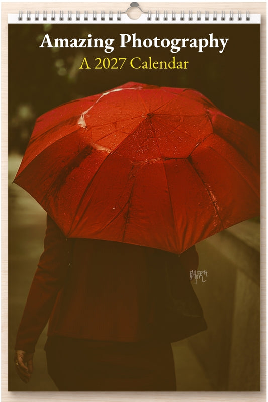 Amazing Photography: A 2027 Calendar
