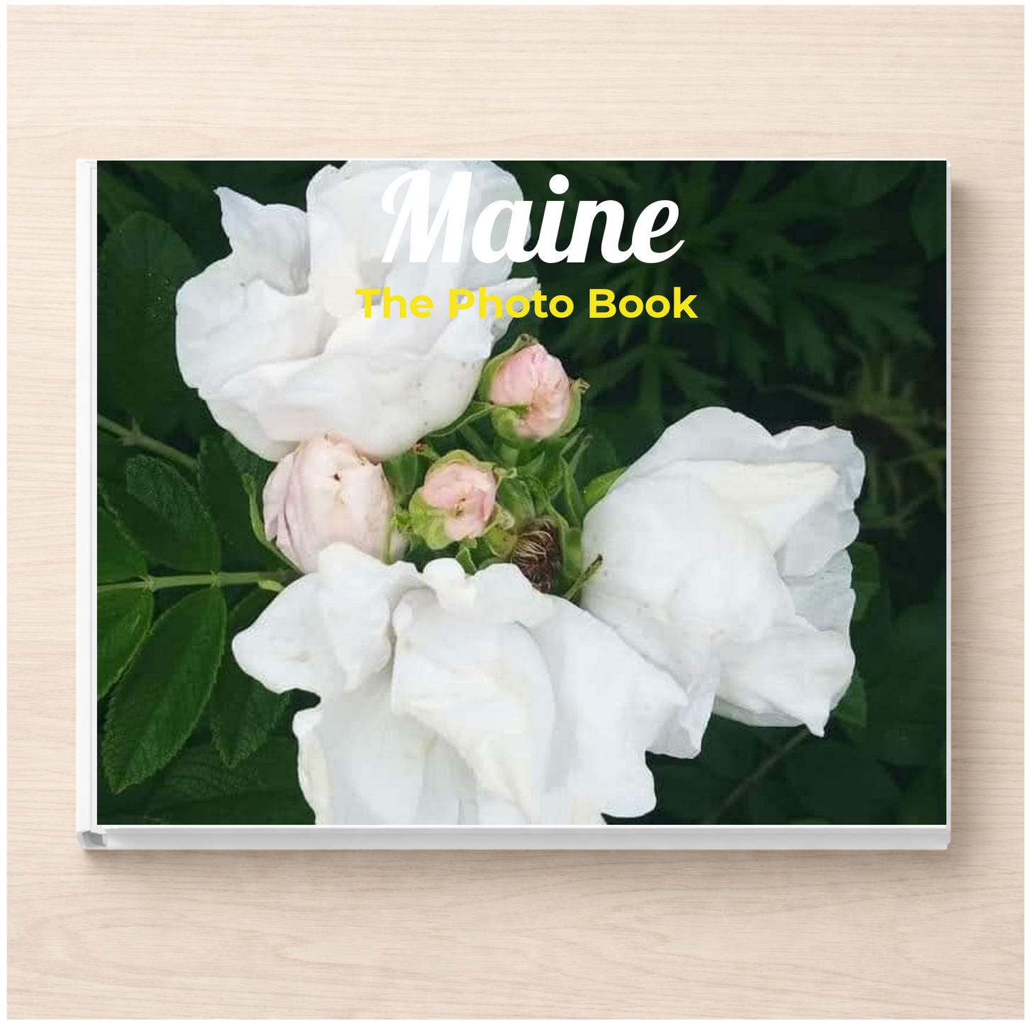 Maine: The Photo Book