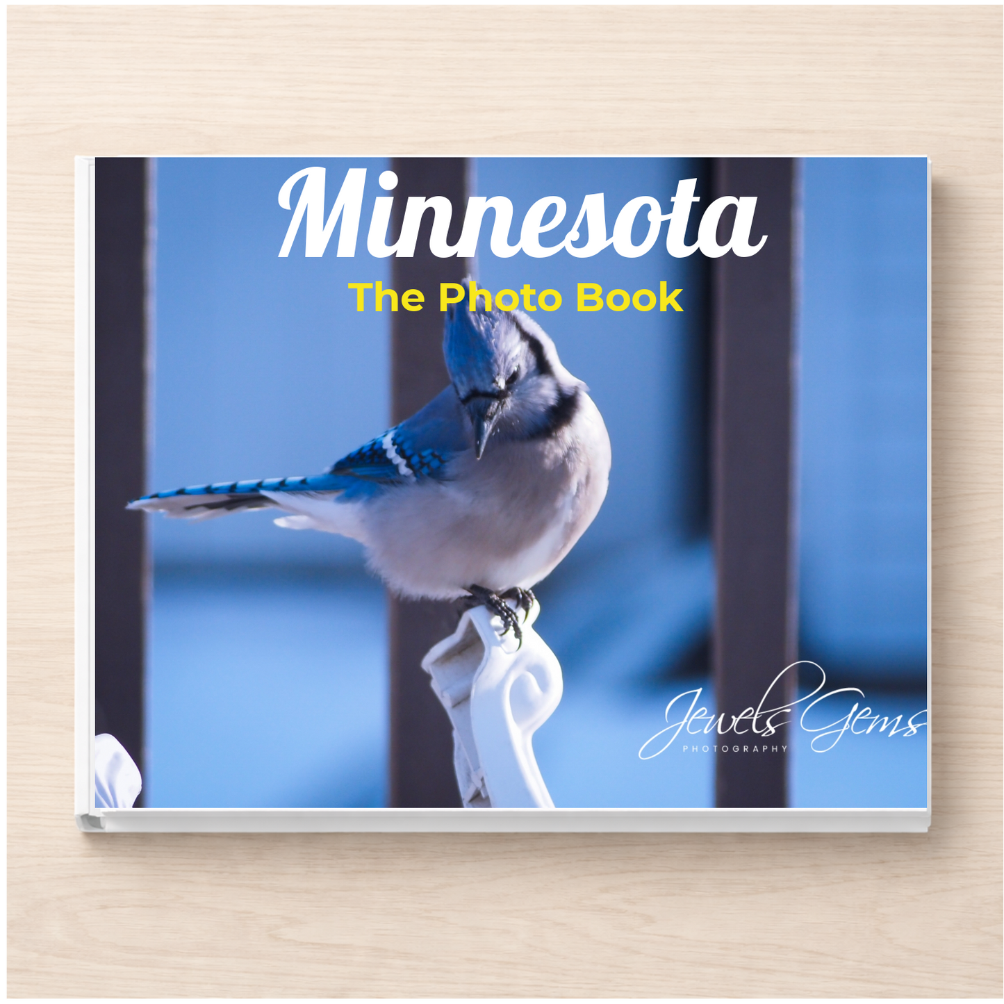 Minnesota: The Photo Book