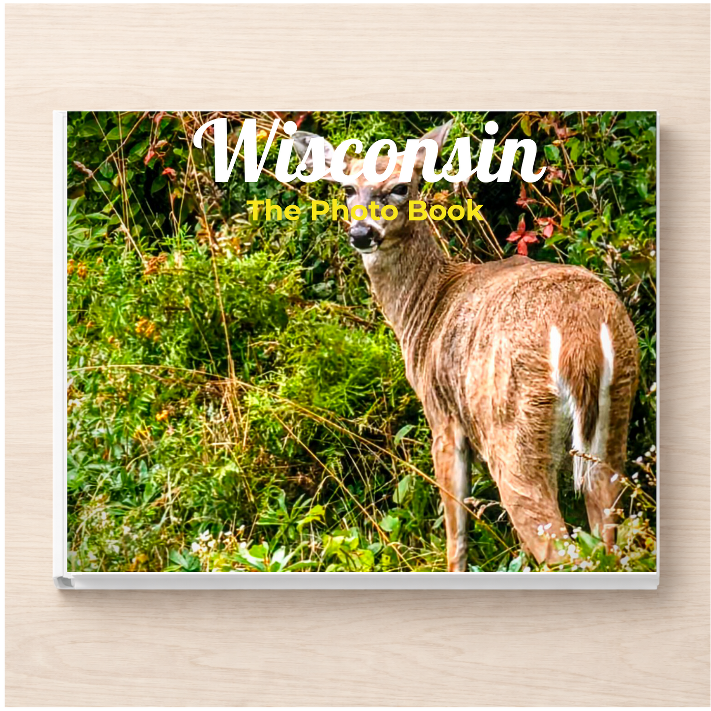 Wisconsin: The Photo Book