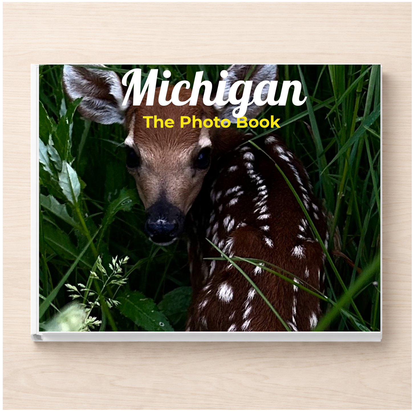 Michigan: The Photo Book