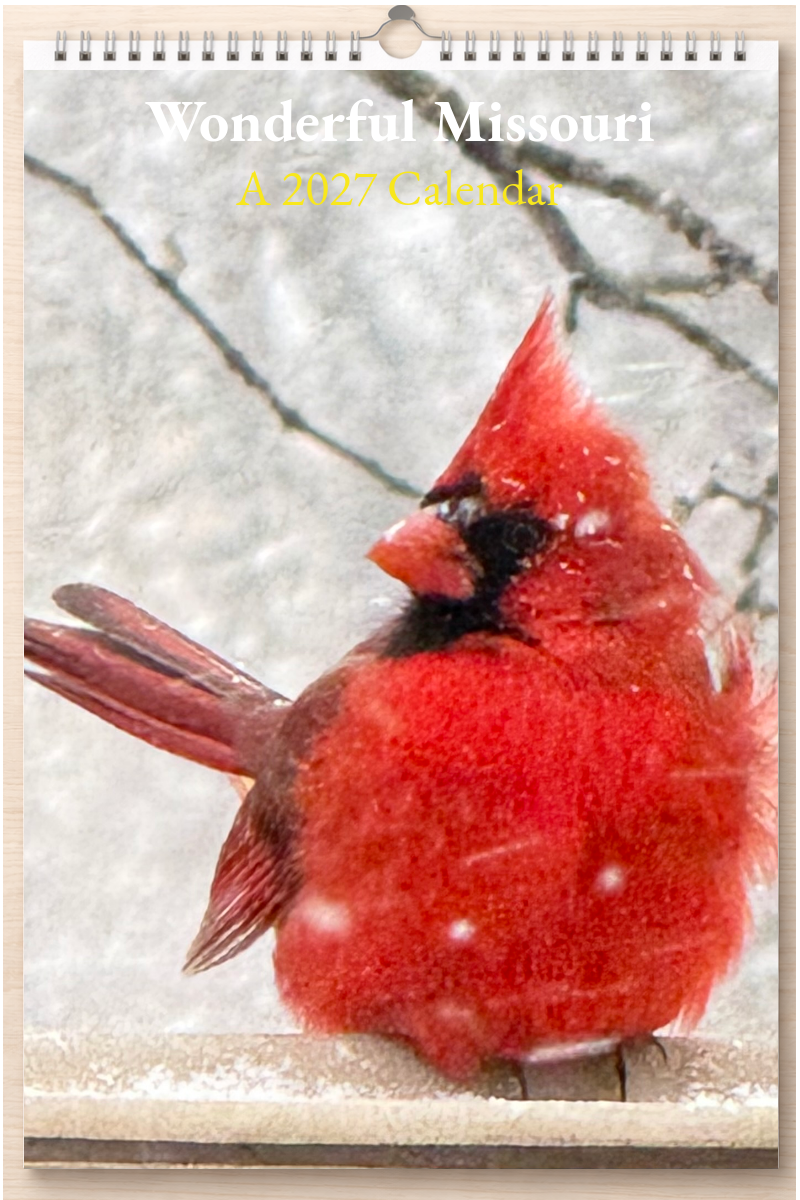 Wonderful Missouri: A 2027 Calendar