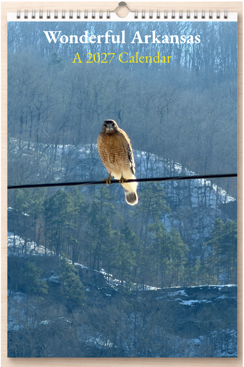 Wonderful Arkansas: A 2027 Calendar