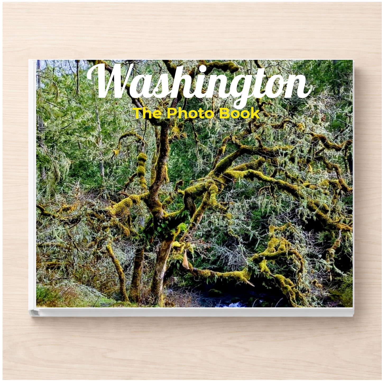 Washington: The Photo Book