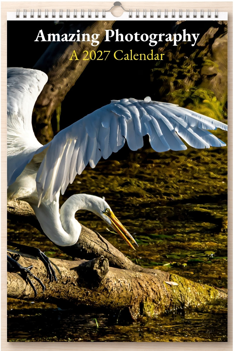 Amazing Photography: A 2027 Calendar