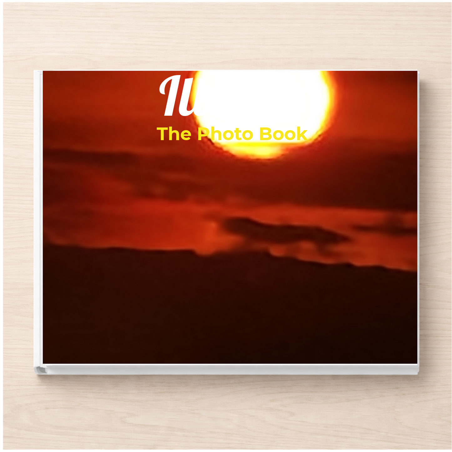 Illinois: The Photo Book