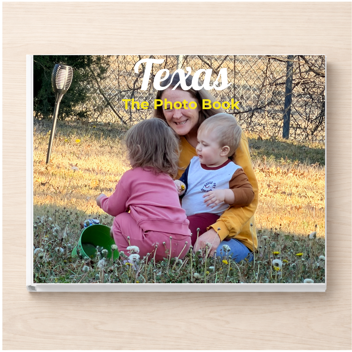 Texas: The Photo Book