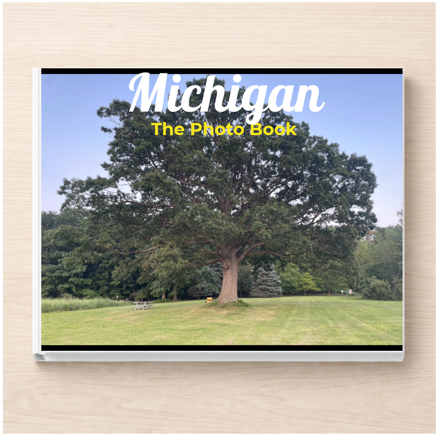 Michigan: The Photo Book