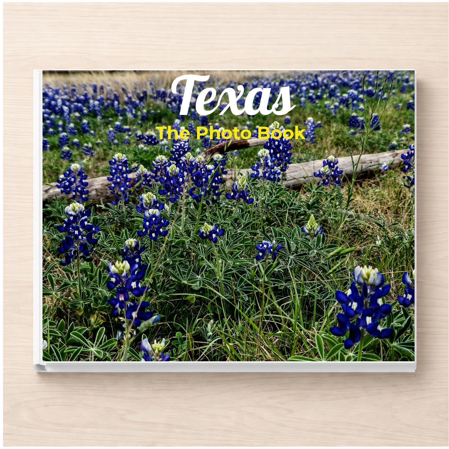 Texas: The Photo Book