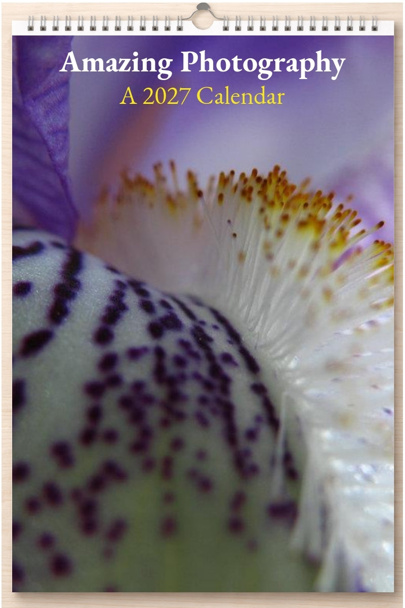 Amazing Photography: A 2027 Calendar
