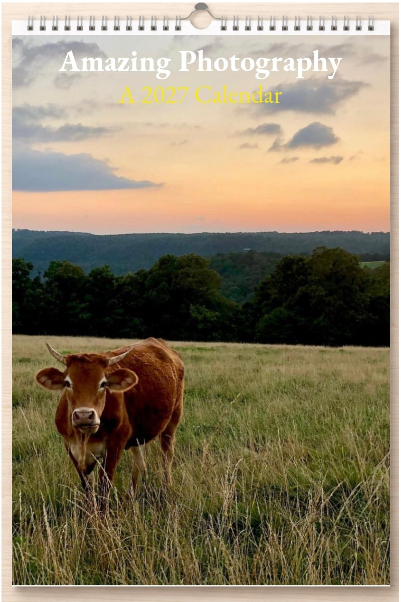 Amazing Photography: A 2027 Calendar