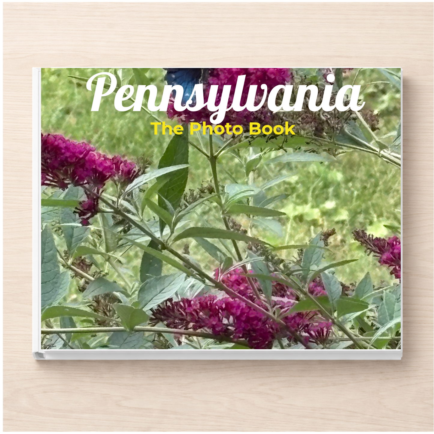 Pennsylvania: The Photo Book