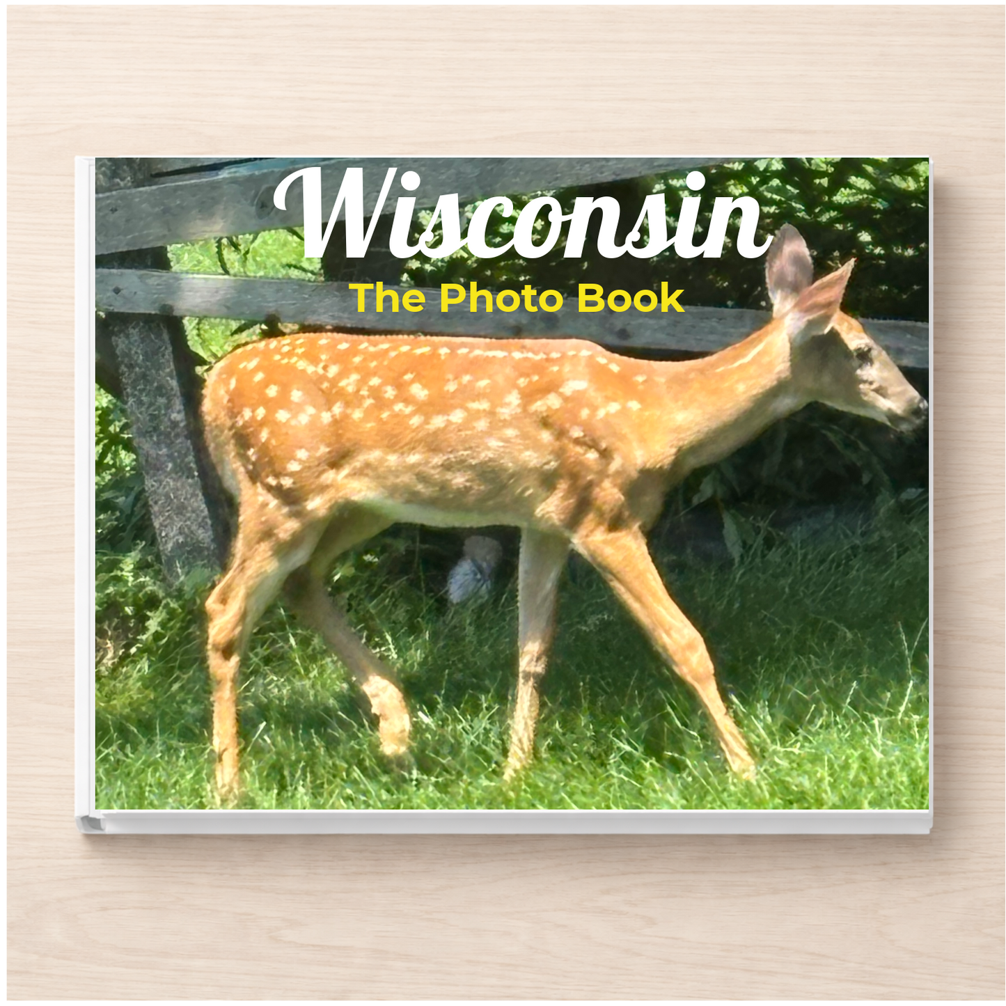 Wisconsin: The Photo Book