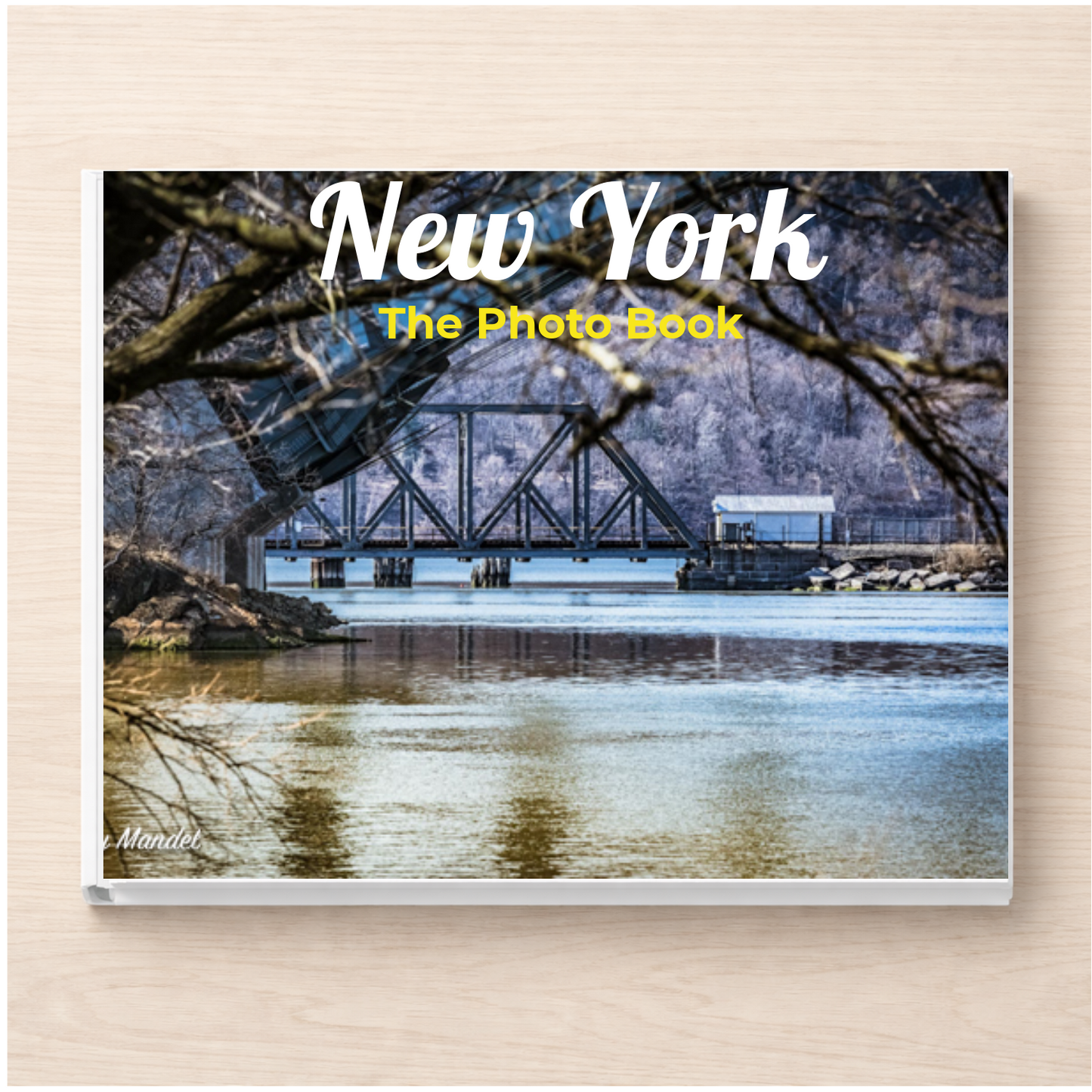 New York: The Photo Book