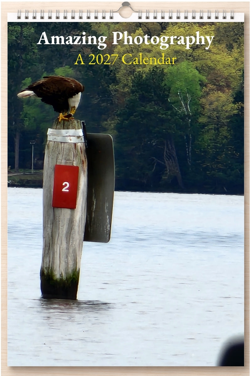 Amazing Photography: A 2027 Calendar