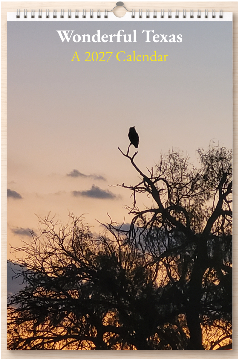 Wonderful Texas: A 2027 Calendar