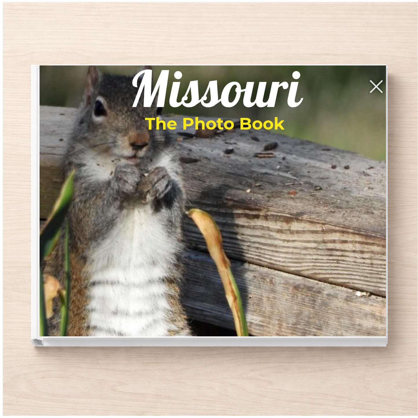 Missouri: The Photo Book