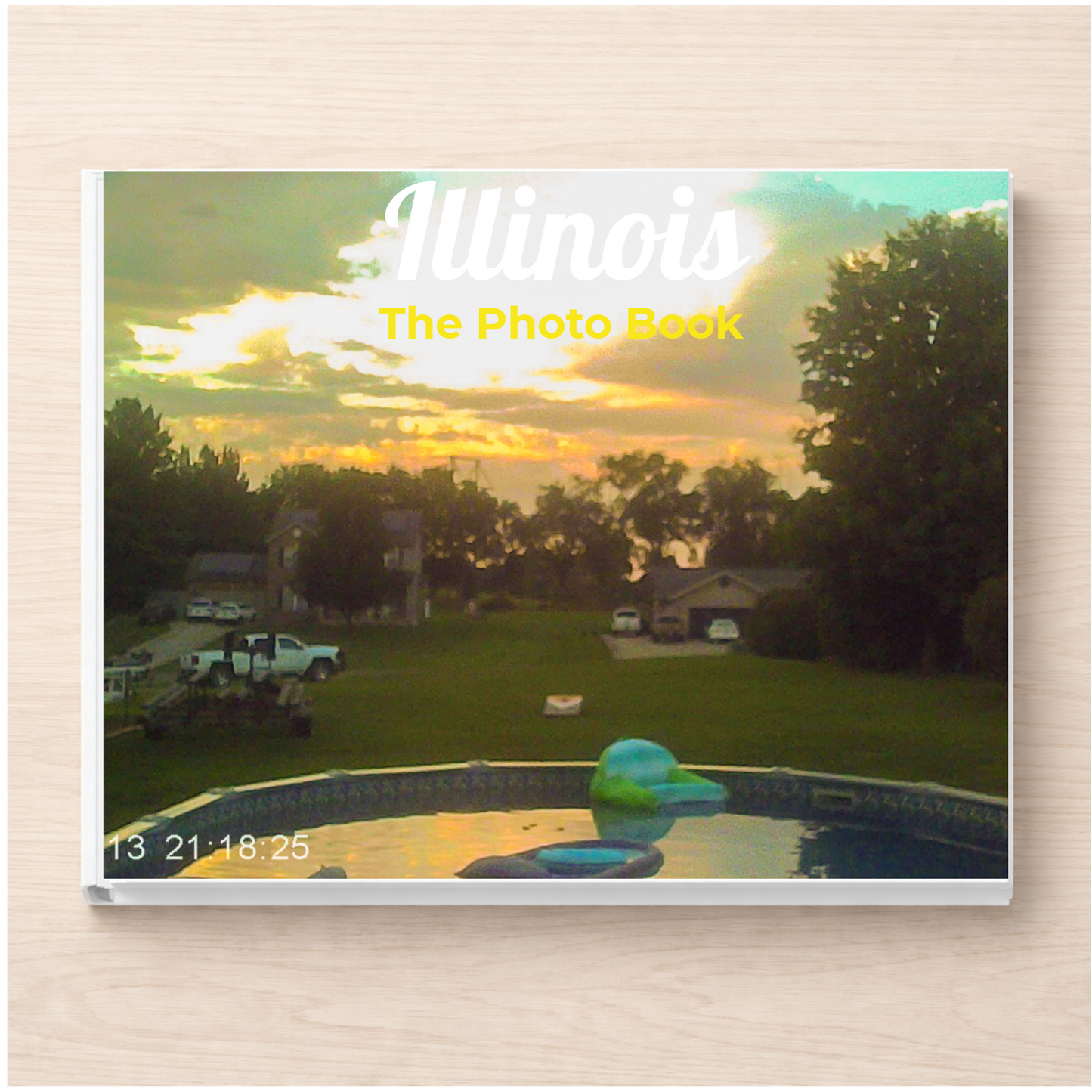 Illinois: The Photo Book