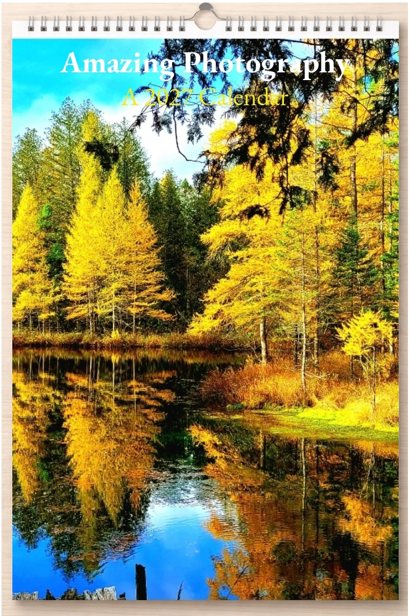 Amazing Photography: A 2027 Calendar