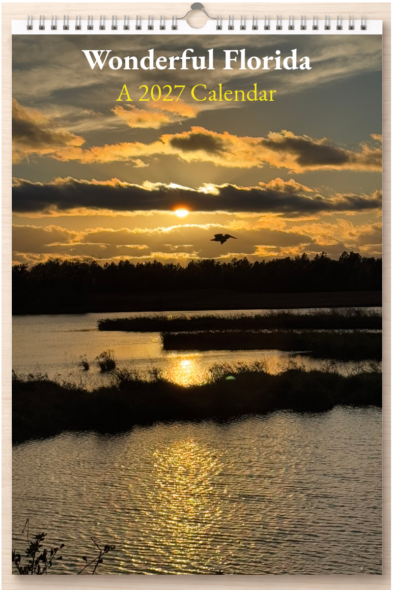 Wonderful Florida: A 2027 Calendar